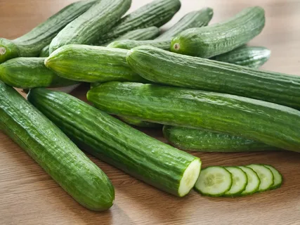 تصویر 2 از قیمت خرید خیار سبز گلخانه ای + فروش ویژه